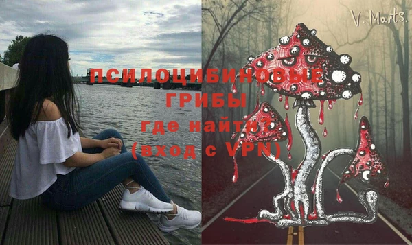 PSILOCYBIN Алзамай