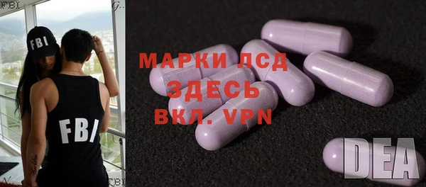 PSILOCYBIN Алзамай