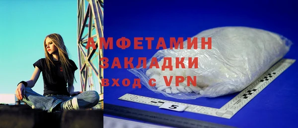 PSILOCYBIN Алзамай