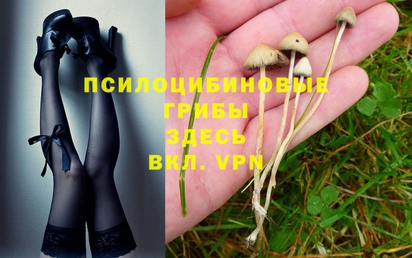 хмурый Алексин