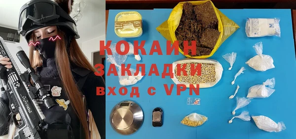хмурый Алексин