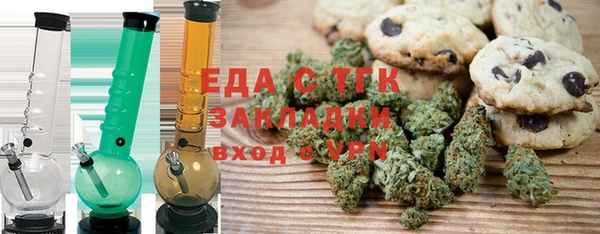 хмурый Алексин