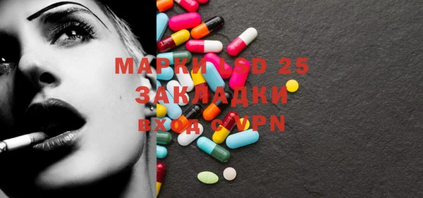 PSILOCYBIN Алзамай
