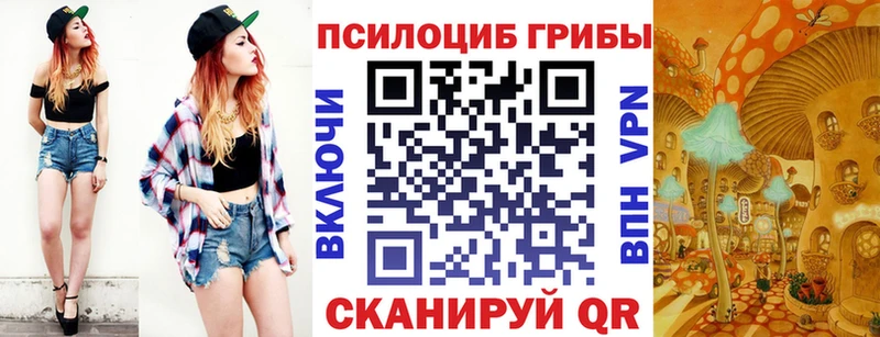 как найти закладки  Сунжа  Псилоцибиновые грибы мицелий 