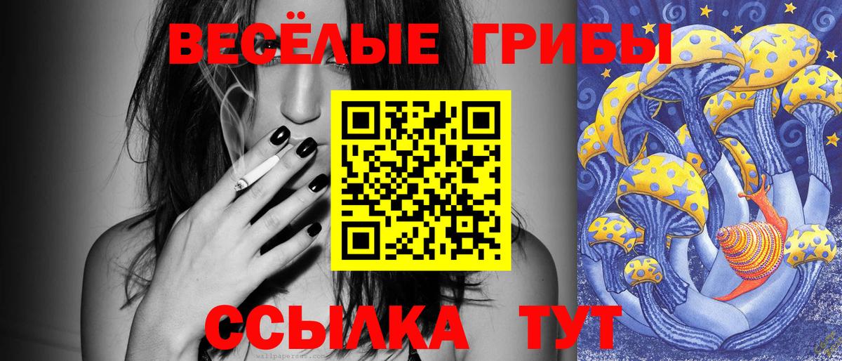 где можно купить   Псилоцибиновые грибы мицелий  Вход с VPN  Сунжа 